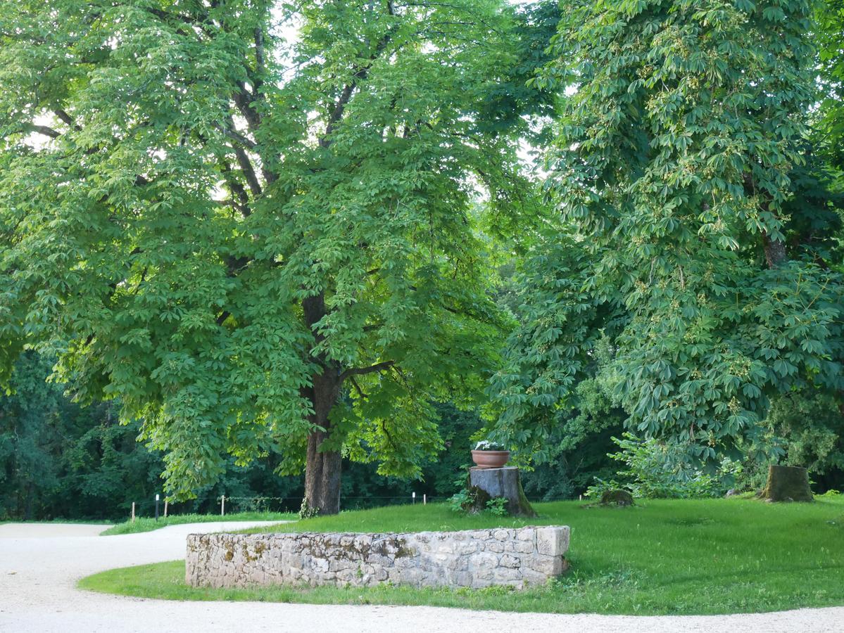 Les Maisons Du Cheylard-Lascaux Villa Les Farges  Dış mekan fotoğraf